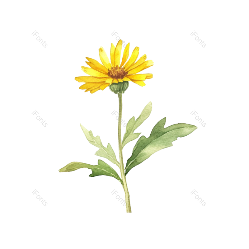 装饰图片,向日葵手绘元素,花卉PNG,花草免抠素材